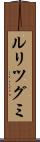 ルリツグミ Scroll