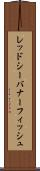 レッドシー・バナーフィッシュ Scroll