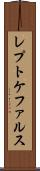 レプトケファルス Scroll