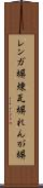 レンガ塀 Scroll