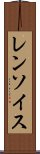 レンソイス Scroll