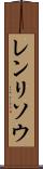 レンリソウ Scroll