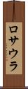 ロサウラ Scroll