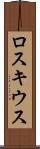 ロスキウス Scroll