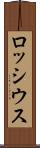 ロッシウス Scroll