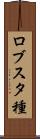 ロブスタ種 Scroll