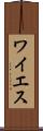 ワイエス Scroll
