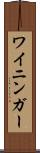 ワイニンガー Scroll