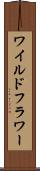 ワイルドフラワー Scroll
