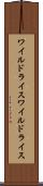 ワイルドライス Scroll