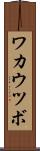 ワカウツボ Scroll