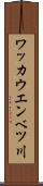 ワッカウエンベツ川 Scroll