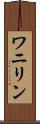 ワニリン Scroll
