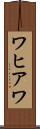 ワヒアワ Scroll
