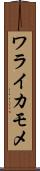 ワライカモメ Scroll