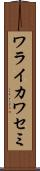 ワライカワセミ Scroll