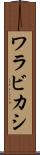 ワラビカシ Scroll
