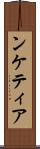 ンケティア Scroll