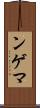 ンゲマ Scroll