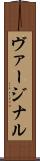 ヴァージナル Scroll
