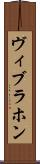 ヴィブラホン Scroll