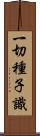一切種子識 Scroll