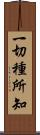 一切種所知 Scroll