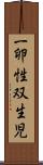 一卵性双生児 Scroll