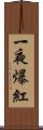 一夜爆紅 Scroll