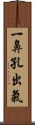 一鼻孔出氣 Scroll