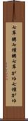 七草粥 Scroll