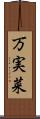 万実菜 Scroll