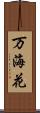 万海花 Scroll