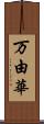 万由華 Scroll
