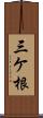 三ケ根 Scroll