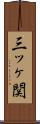 三ッヶ関 Scroll