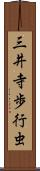 三井寺歩行虫 Scroll