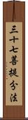 三十七菩提分法 Scroll