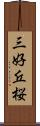 三好丘桜 Scroll