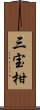 三宝柑 Scroll