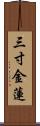 三寸金蓮 Scroll