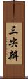 三尖瓣 Scroll