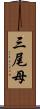 三尾母 Scroll