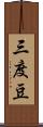 三度豆 Scroll