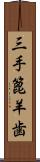 三手篦羊歯 Scroll