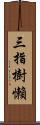 三指樹懶 Scroll