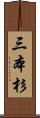 三本杉 Scroll