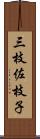 三枝佐枝子 Scroll