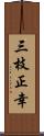 三枝正幸 Scroll