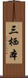 三栖本 Scroll